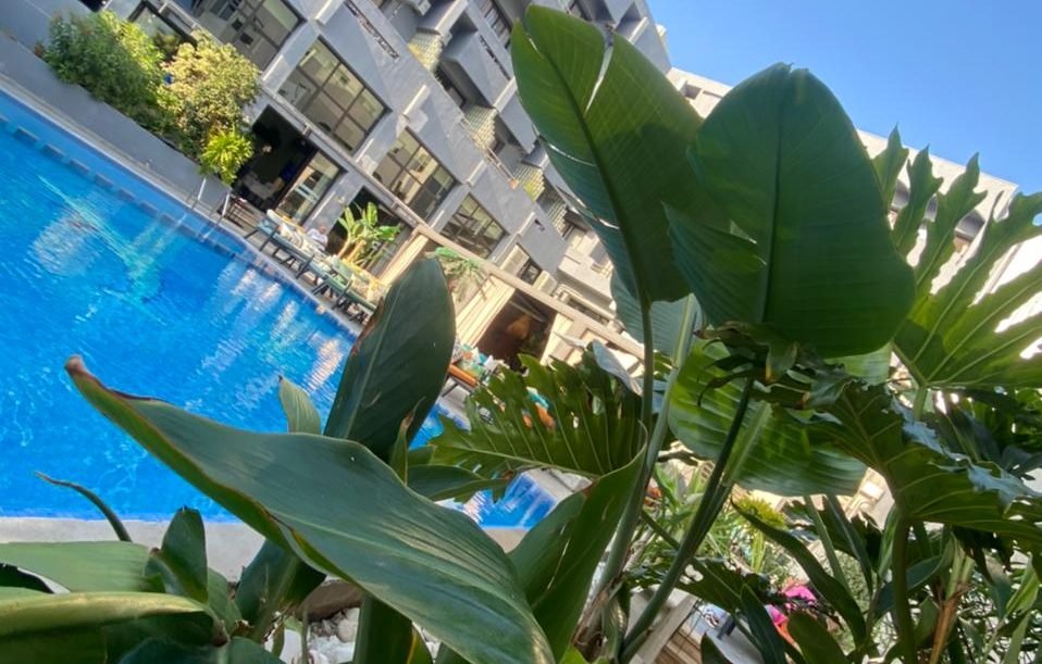 WhatsApp Image 2022-09-20 at 17.53.14